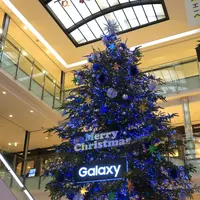 ラシックの写真・動画_image_107373