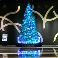 名古屋ルーセントタワーの写真・動画_image_107388