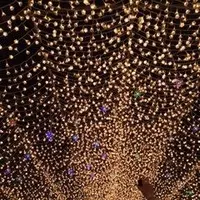 なばなの里の写真・動画_image_107419