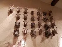 神長官守矢史料館の写真・動画_image_107455