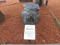 神戸市立須磨離宮公園の写真・動画_image_107498