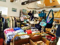 Sunny Funny Daysの写真・動画_image_107679