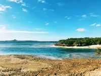 備瀬のフクギ並木の写真・動画_image_107692