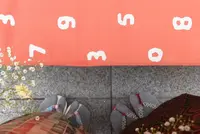 SOU•SOU 足袋の写真・動画_image_107702