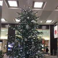新宿高島屋の写真・動画_image_107733