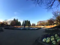 世田谷公園の写真・動画_image_107767
