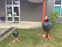 やヤンバルクイナ生態展示学習施設の写真・動画_image_107828