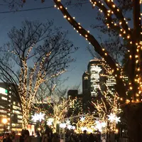 大阪市役所（ 大阪市役所本庁舎）の写真・動画_image_107830