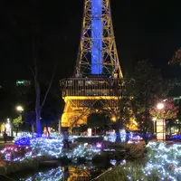 セントラルパークもちの木広場の写真・動画_image_107968