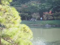 小石川後楽園の写真・動画_image_108096
