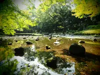 小石川後楽園の写真・動画_image_108098