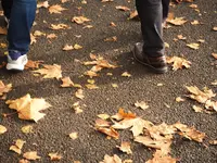 都立林試の森公園の写真・動画_image_108109
