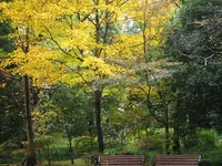 都立林試の森公園の写真・動画_image_108114