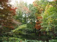 都立林試の森公園の写真・動画_image_108115