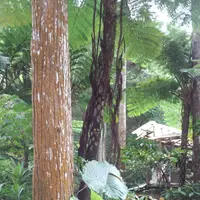カフェ山甌の写真・動画_image_108157