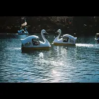 井の頭恩賜公園の写真・動画_image_108253