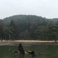 毛越寺の写真・動画_image_108283