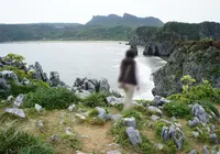 辺戸岬の写真・動画_image_108581