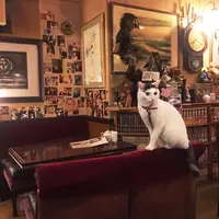 カフェアルルの写真・動画_image_108619