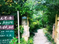 Cafe icharaの写真・動画_image_108638