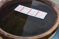 熊本城稲荷神社の写真・動画_image_108646