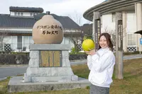 道の駅「不知火」の写真・動画_image_108652