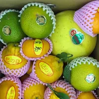 道の駅「不知火」の写真・動画_image_108655