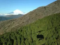 箱根・駒ケ岳ロープウェーの写真・動画_image_108727