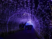 江の島サムエル・コッキング苑の写真・動画_image_108761