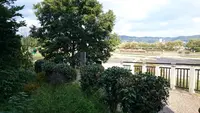 ボンボンカフェの写真・動画_image_108805