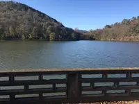 宝ヶ池公園の写真・動画_image_108833