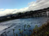 渡月橋の写真・動画_image_108962