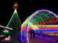 東京ドイツ村の写真・動画_image_108963