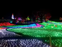 東京ドイツ村の写真・動画_image_108965