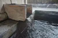 独鈷の湯の写真・動画_image_109019