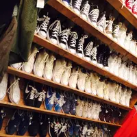 フラミンゴ 表参道店の写真・動画_image_109189