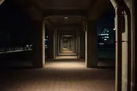 象の鼻パークの写真・動画_image_109209