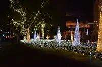 山下公園の写真・動画_image_109212