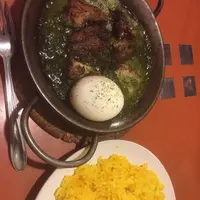 ヨゴロウ （YOGORO） の写真・動画_image_109267