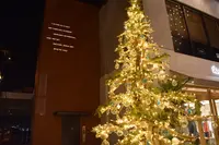 MARINE＆WALK YOKOHAMA（マリン アンド ウォーク ヨコハマ）の写真・動画_image_109309