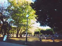 世田谷公園の写真・動画_image_109355