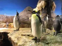 海遊館の写真・動画_image_109534