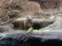 海遊館の写真・動画_image_109535