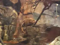 海遊館の写真・動画_image_109536