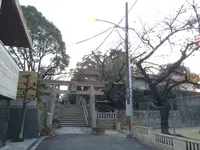 三光神社の写真・動画_image_109570