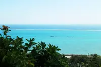 黒糖工房・青空喫茶 八風畑の写真・動画_image_109638