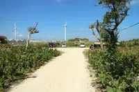 黒糖工房・青空喫茶 八風畑の写真・動画_image_109647