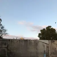 大阪城公園の写真・動画_image_109685