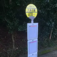 都立大島公園椿園の写真・動画_image_109694