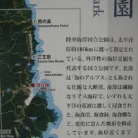 浄土ヶ浜の写真・動画_image_109732